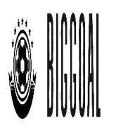 biggoalzp