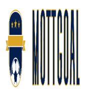 mottgoalfxxe
