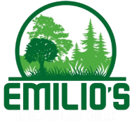 emilioslandscapings