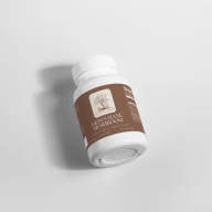 Brainfocussupplement