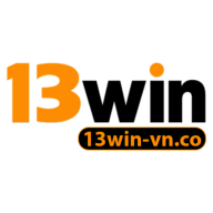 13winvnco