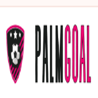 palmbaytowing1vn