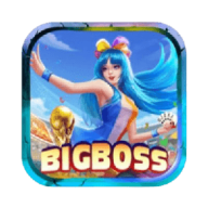 bigboss02hx