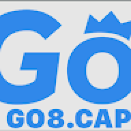 go8capital1