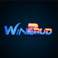 win2audorg1