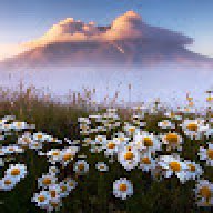 daisyxmountains@gmai