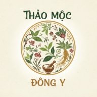 thaomocdongy