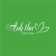 chothuecaycanh