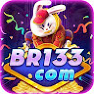 br133org