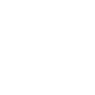 xioliftvietnyc