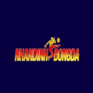 nhandinhbongda2