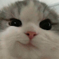 Sh3neek