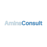 aminsconsult