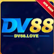 dv88love
