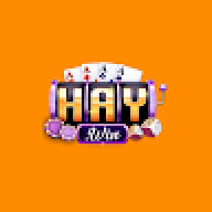 haywinvnsite