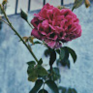 Fathima A