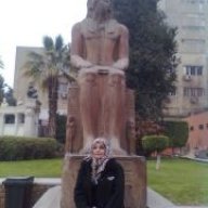 sadia f