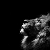 MariiamA