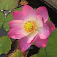 888toptech1