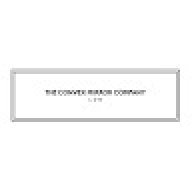 theconvexmirror