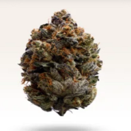 zendelivery