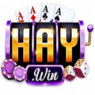 haywinfastvn