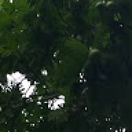 qpmayo1