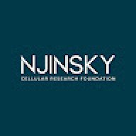 njinskyfoundation