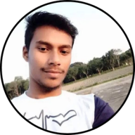 syedibrarank1seo
