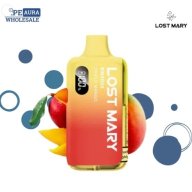 LostMaryBM6000