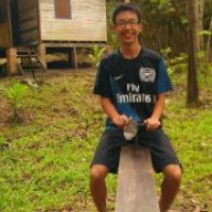 Bllc1997