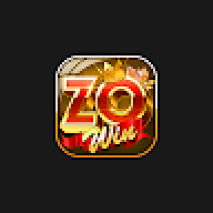 zowinwork1