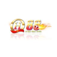 qh88usvn06
