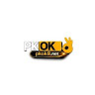 pkok8net1
