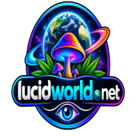 lucidworld095