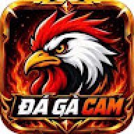 dagacamvideo