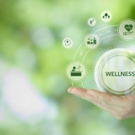 healthseraweb