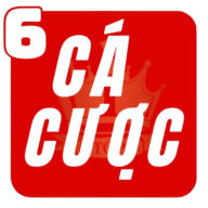 trangcacuocb2vn