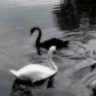 REALhafsa