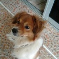ryana canden