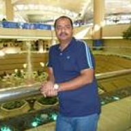Muhammad Saqib