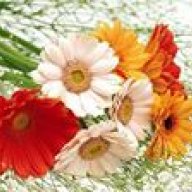 Aishath Yaana