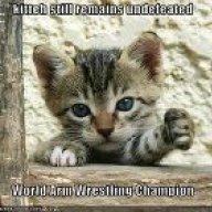 catty2