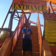 Msheba