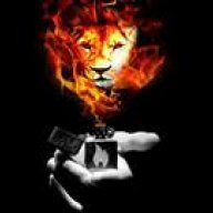 M.Labeeb