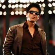 Srkdon