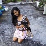 dia sun
