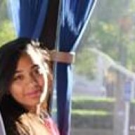 Aleena Amir