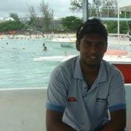 shane.17
