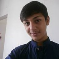 Hamza Naqvi